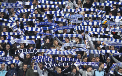 Is “tribal” behavior at work in your world?