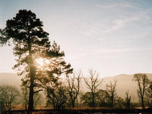 Time to forgive yourself